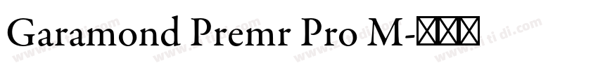 Garamond Premr Pro M字体转换